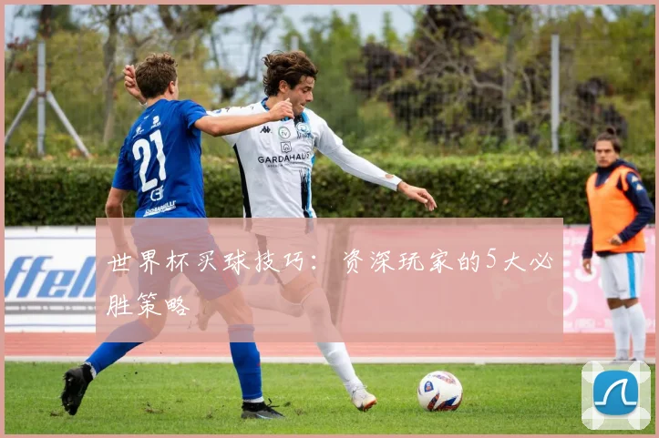 世界杯买球技巧：资深玩家的5大必胜策略