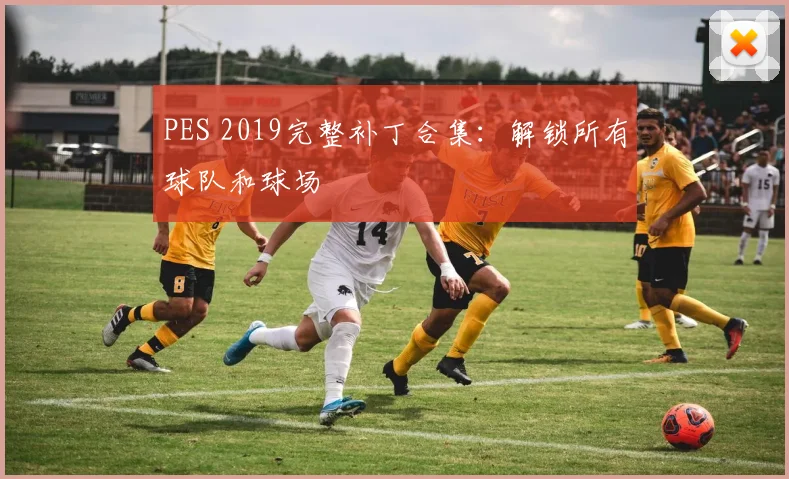 PES 2019完整补丁合集：解锁所有球队和球场